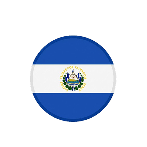 Bandera de salvador